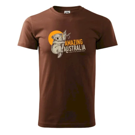 Amazing Australia koala