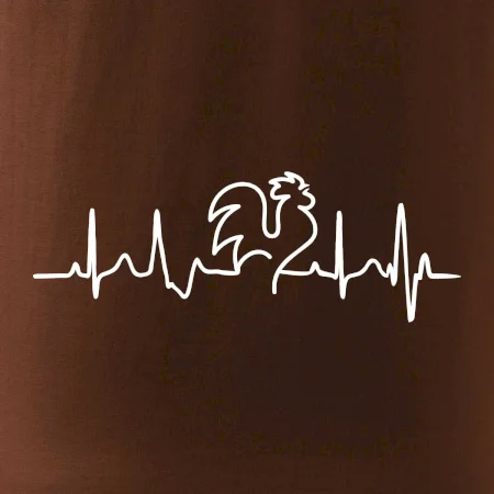 Kohút ekg