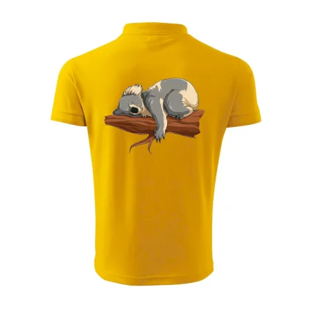 Koala na vetve