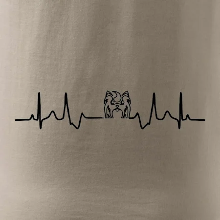 Shih-tzu ekg hlava