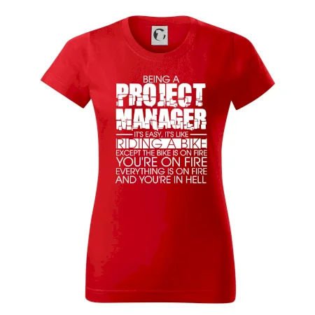 Being A Project Manager - bike