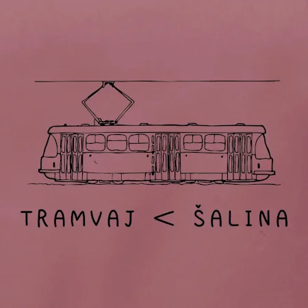 Tramvaj < šalina