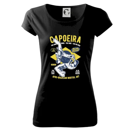 Capoeira  Afro-brazil art