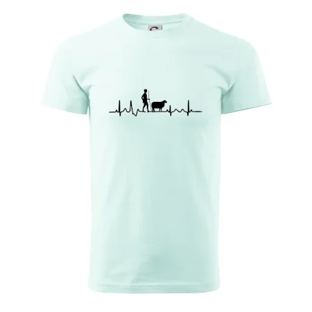 Ekg pastier oviec