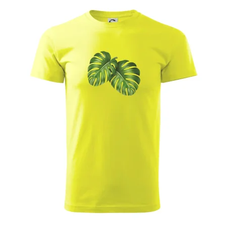 Monstera - dva listy