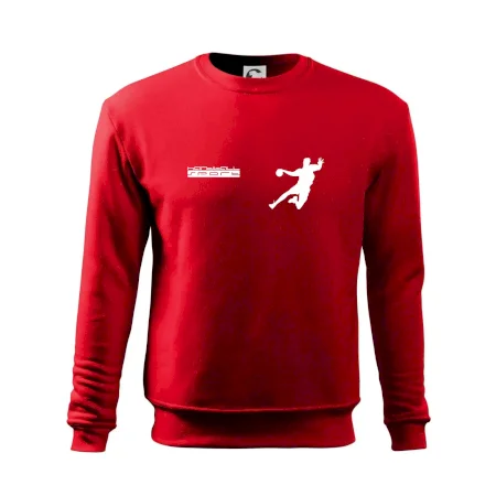 Handball sport