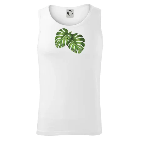 Monstera - dva listy