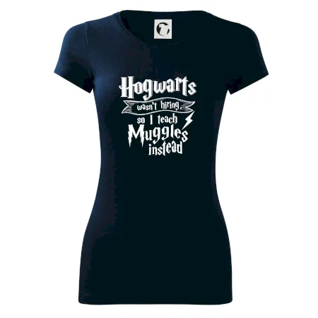 Harry - Hogwarts wasn’t hiring, so I teach Muggles instead
