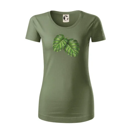 Monstera - dva listy