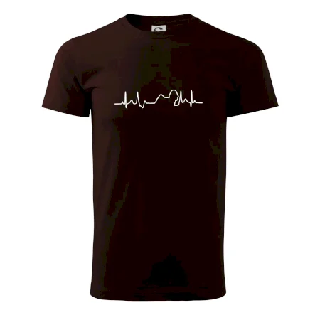Shih-tzu ekg obrys