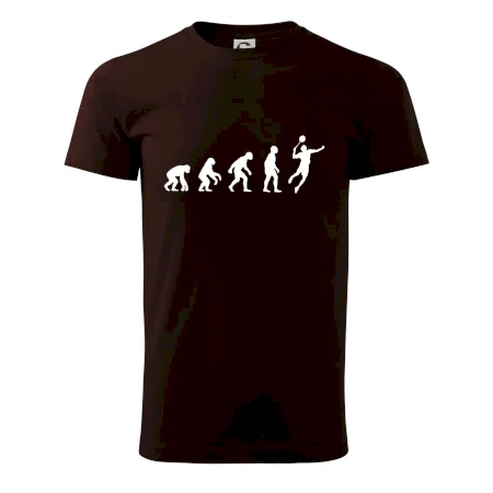 Evolúcia Bedminton