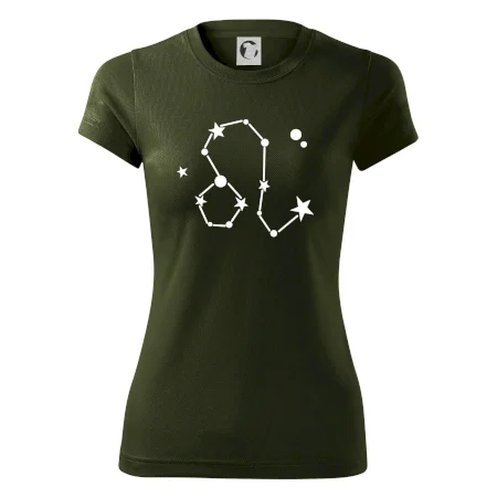 Súhvezdie - Leo - Lev