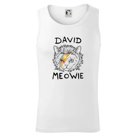 David Meowie