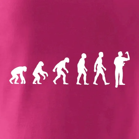 Evolúcia šípky