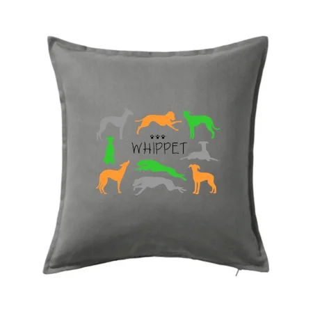 Whippet farebný