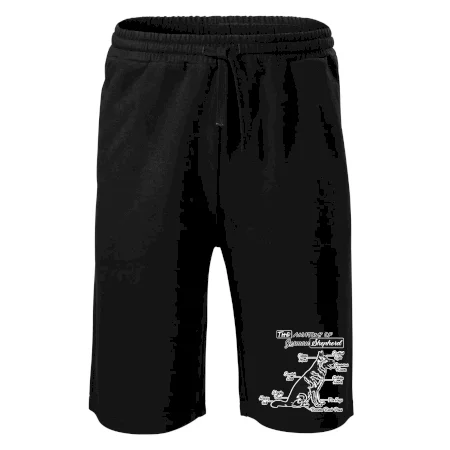 Nemecký ovčiak - Anatómia