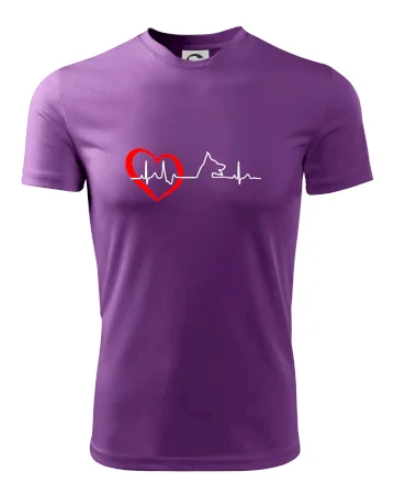 Nemecký ovčiak ekg