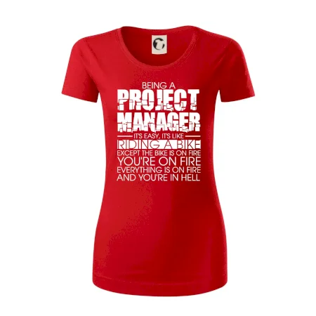 Being A Project Manager - bike