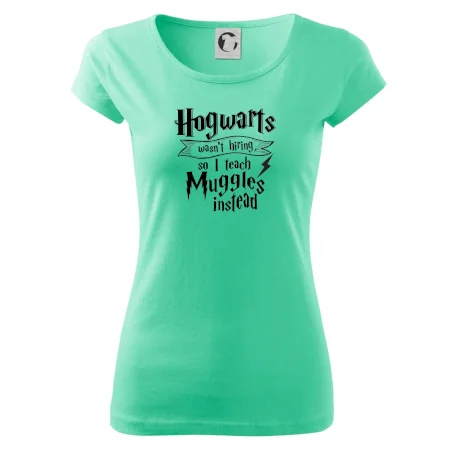 Harry - Hogwarts wasn’t hiring, so I teach Muggles instead