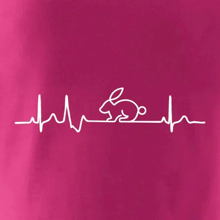 EKG králik
