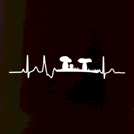 EKG hubár