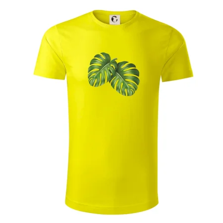 Monstera - dva listy