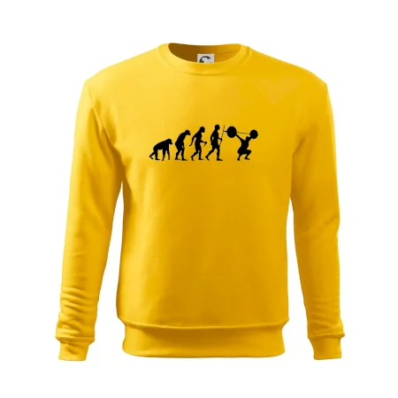 Evolution fitness