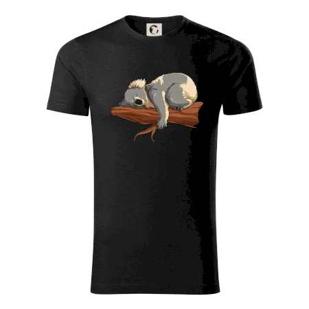 Koala na vetve