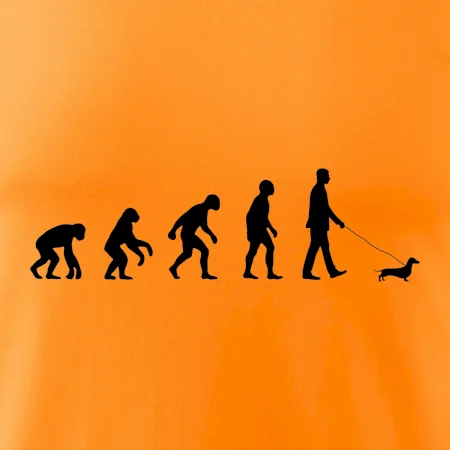 Jazvečík Evolúcia muž