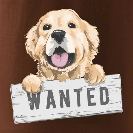 Zlatý retriever - šteniatko wanted