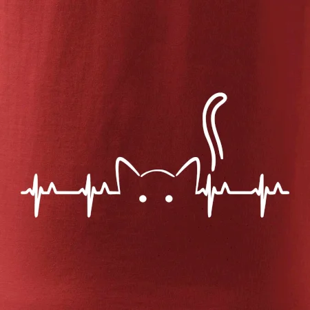 Mačka EKG
