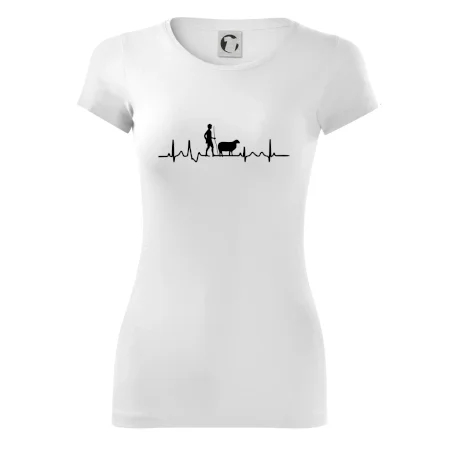 Ekg pastier oviec