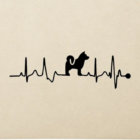 Shiba-Inu EKG