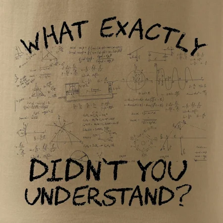 What exactly didn't you understand - physics