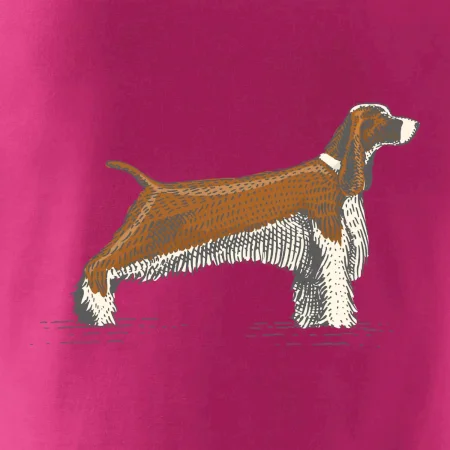 Vintage Springer spaniel