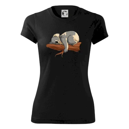 Koala na vetve