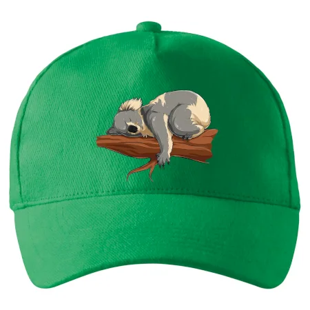 Koala na vetve