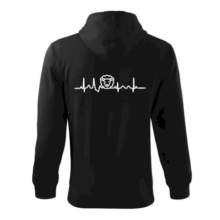 Ekg ovce