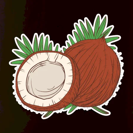 Kokos