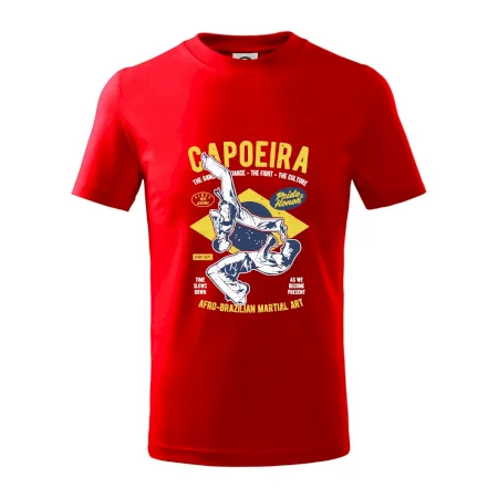 Capoeira  Afro-brazil art