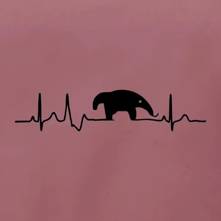 Mravčiar EKG