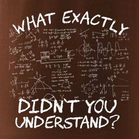 What exactly didn't you understand - physics
