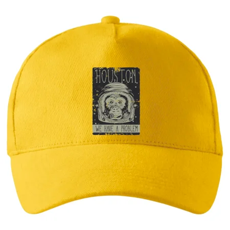 Houston we have a problem