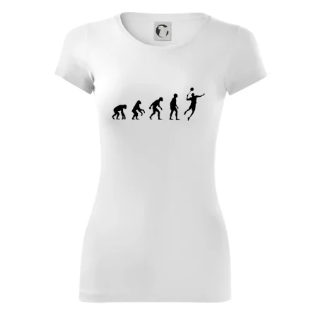 Evolúcia Bedminton