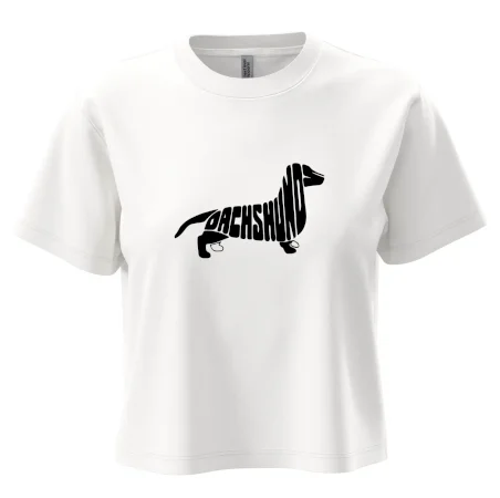 Jazvečík - Dachshund