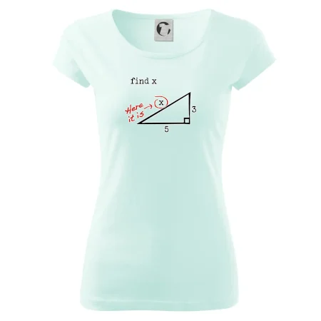 Find X - geometria