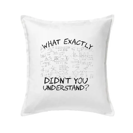 What exactly didn't you understand - physics