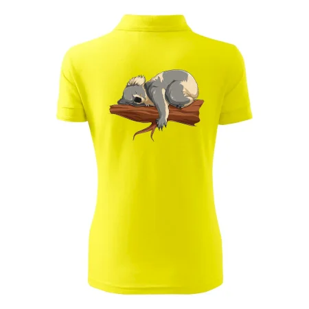Koala na vetve