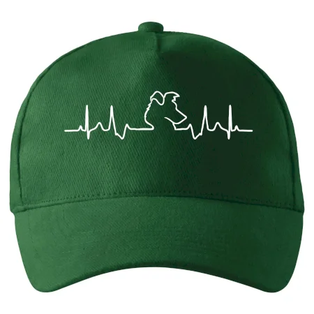 Borderská kólia EKG