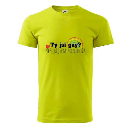 Gay princezna